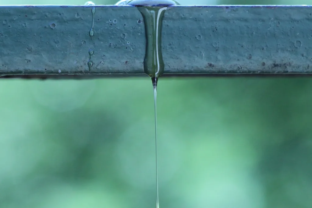Revamp Your Welcome Series: Build a Nurturing Drip Campaign Photo Drip Campaign