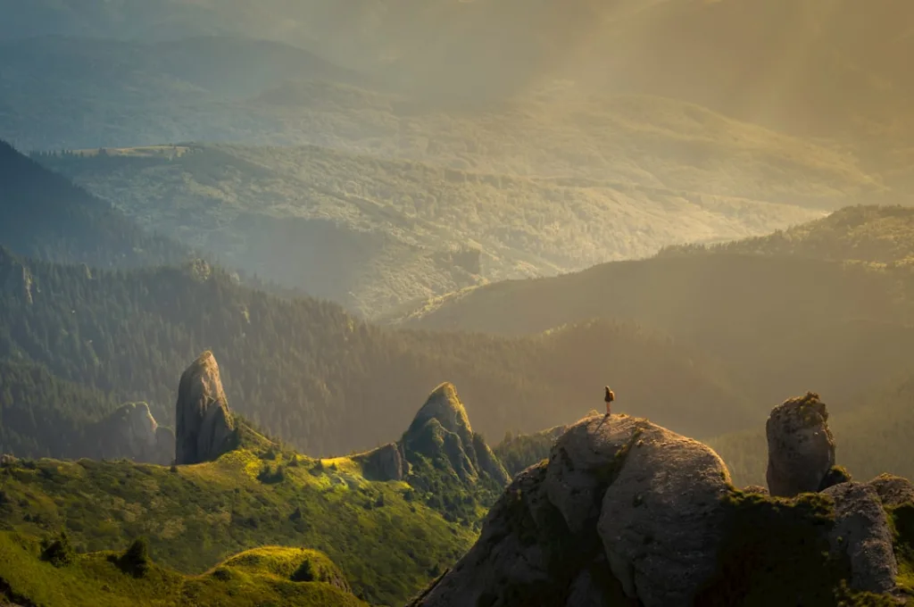 Leveraging Tracking Pixels for Audience Insights Photo API Key
