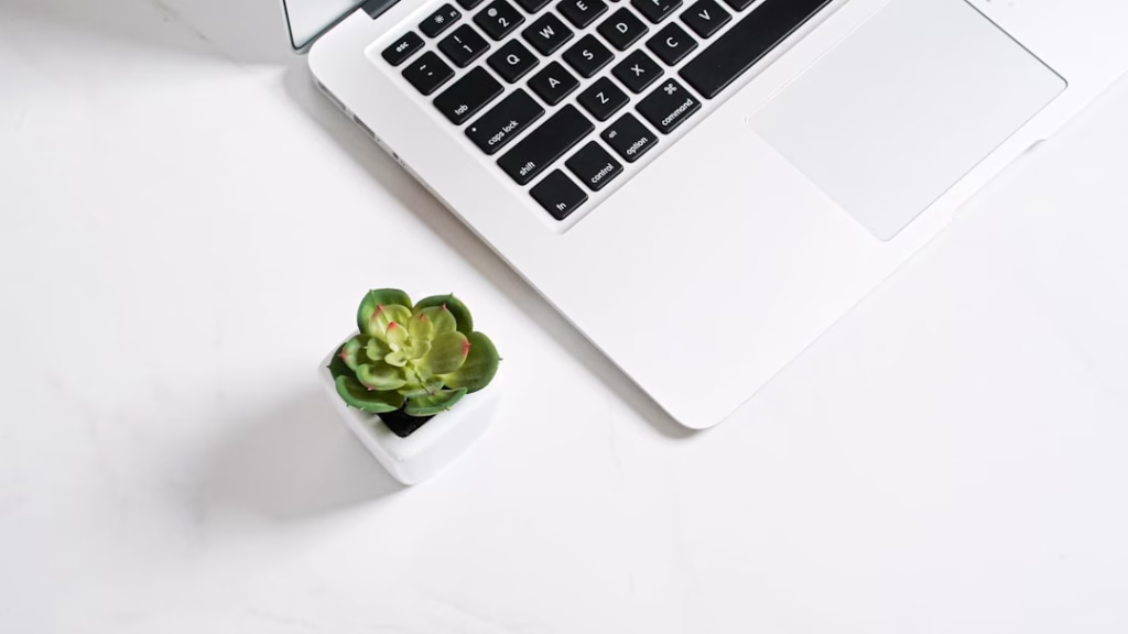 Photo Email Marketing Trends