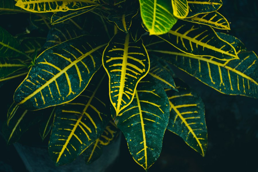 Landing Pages